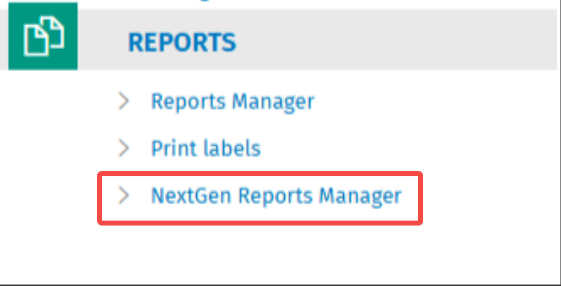 cch-axcess-next-gen-report-manager-2